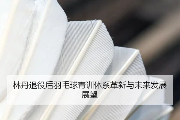 林丹退役后羽毛球青训体系革新与未来发展展望