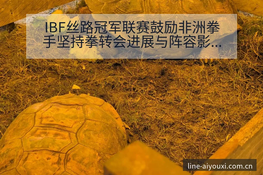 IBF丝路冠军联赛鼓励非洲拳手坚持拳转会进展与阵容影响历 - 爱游戏