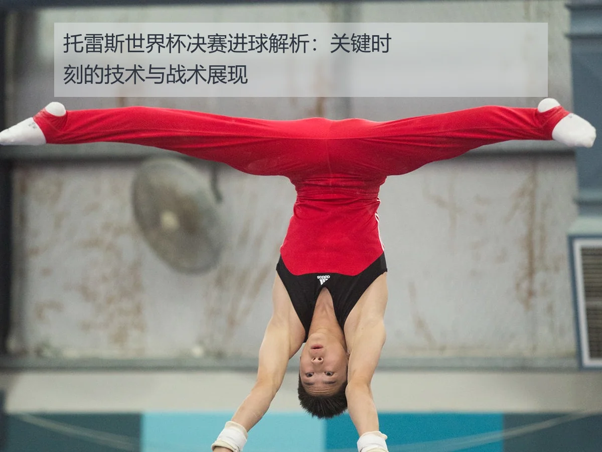 托雷斯世界杯决赛进球解析：关键时刻的技术与战术展现
