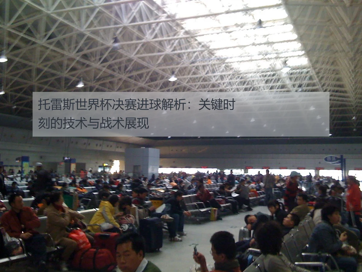 托雷斯世界杯决赛进球解析:关键时刻的技术与战术展现